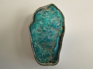 Turquoise Américaine